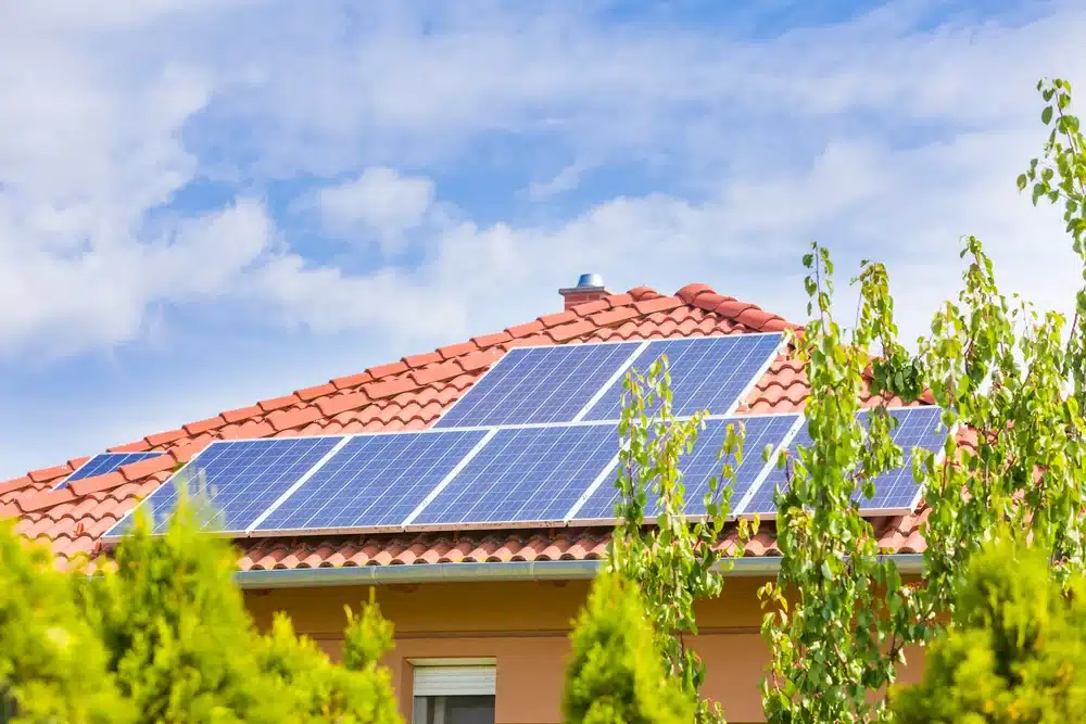 Environmental Impact of Solar Panels